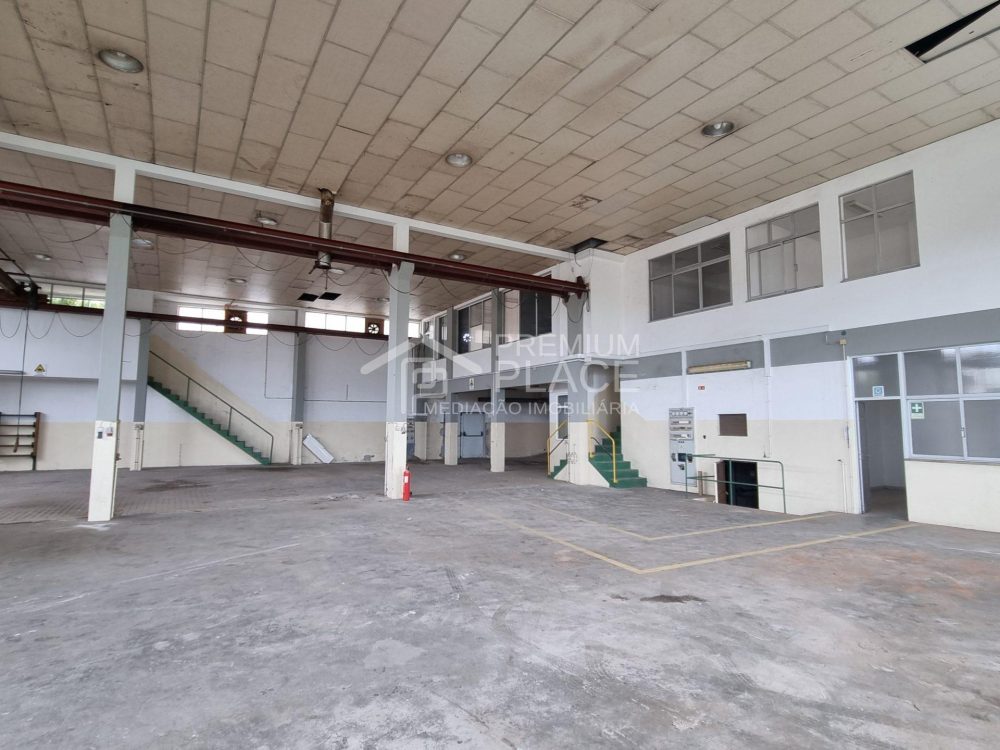 20250217_144739 - Cópia