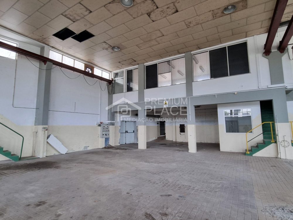 20250217_144820 - Cópia