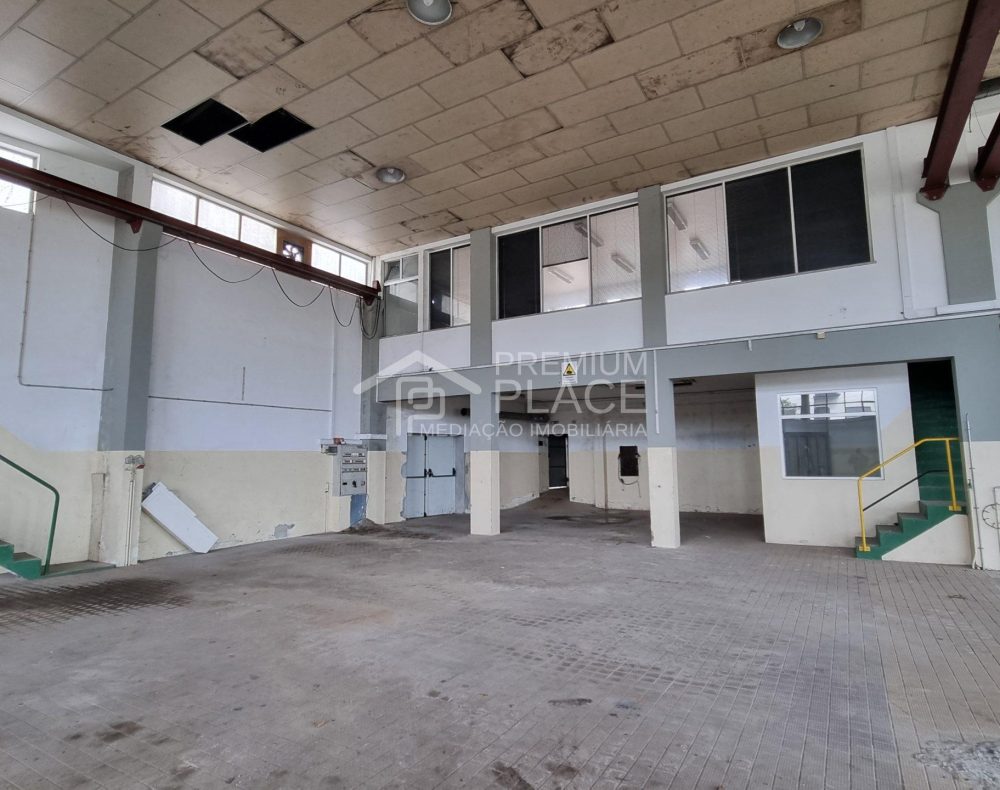 20250217_144820 - Cópia