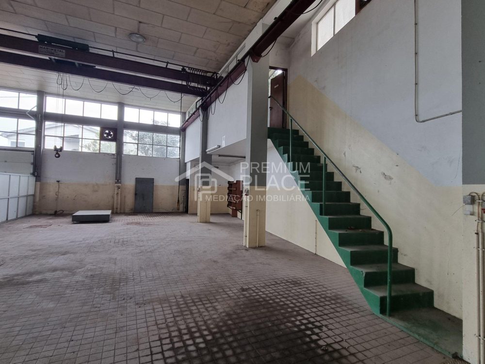 20250217_145122 - Cópia