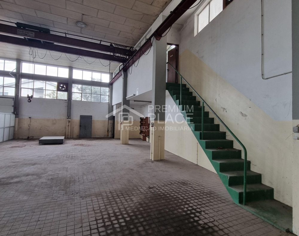 20250217_145122 - Cópia