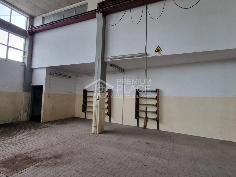 20250217_145238 - Cópia