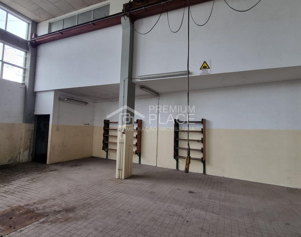 20250217_145238 - Cópia