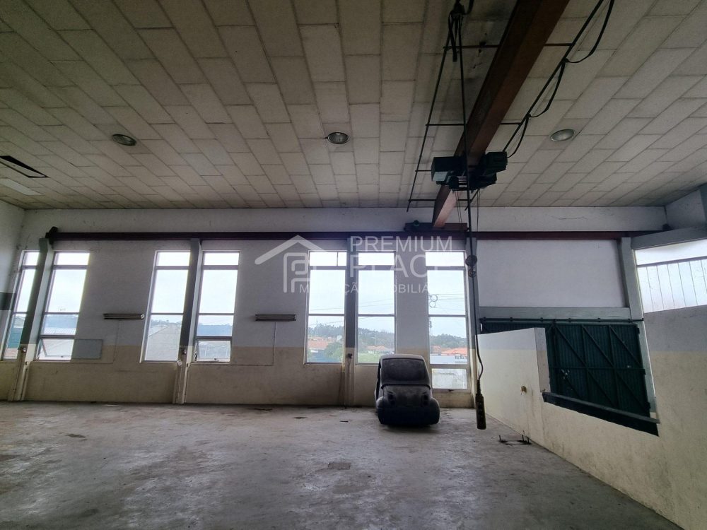 20250217_145624 - Cópia