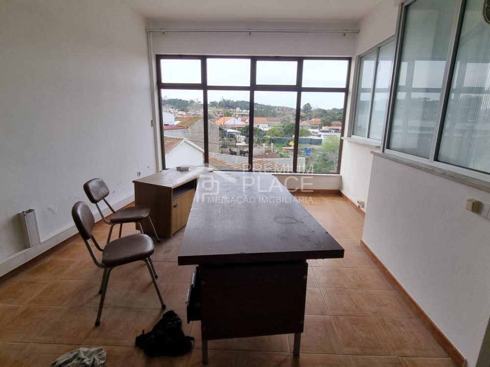 20250217_145906 - Cópia