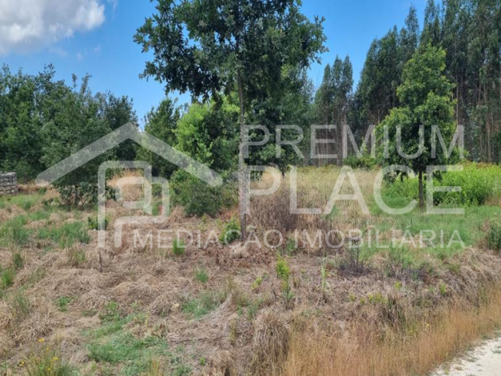 Captura de ecrã 2025-09-01 185326_cleanup