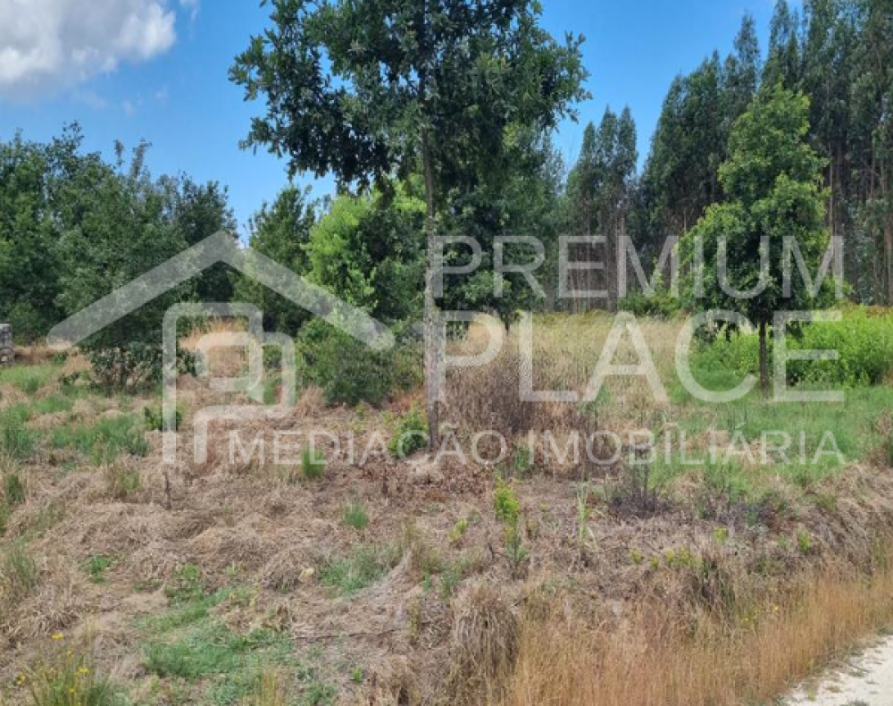 Captura de ecrã 2025-09-01 185326_cleanup