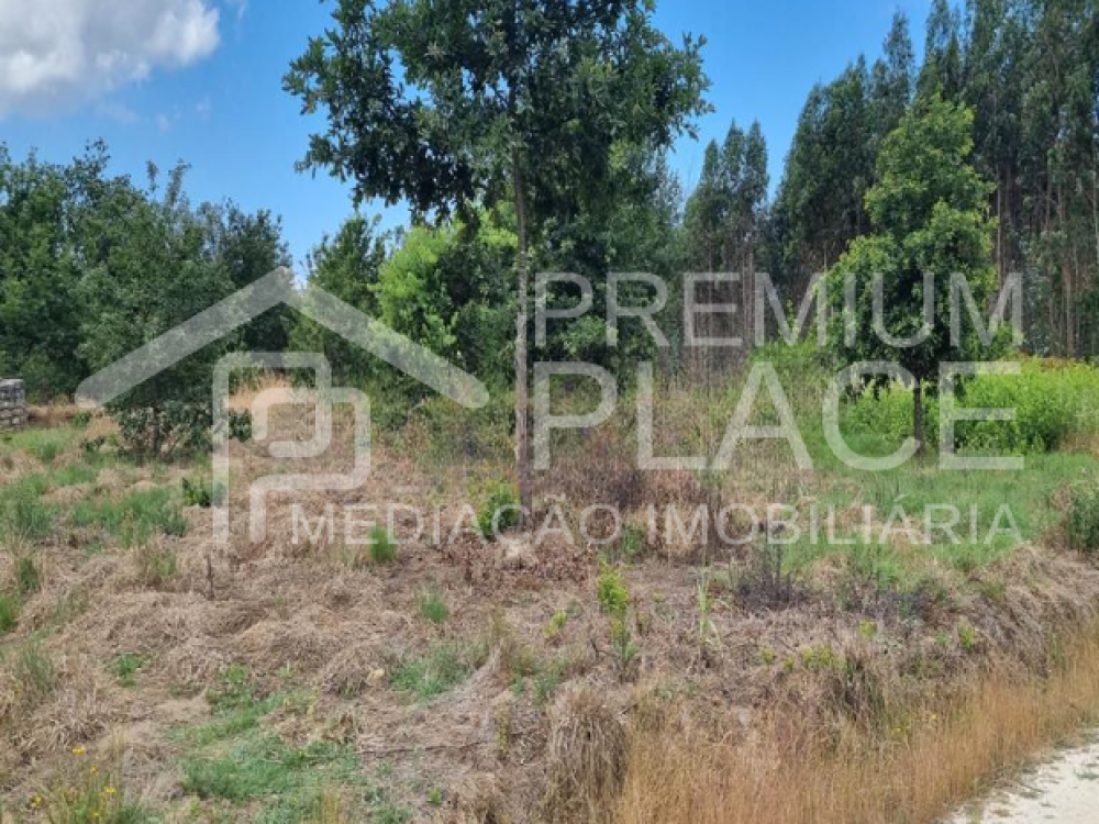 Captura de ecrã 2025-09-01 185341_cleanup