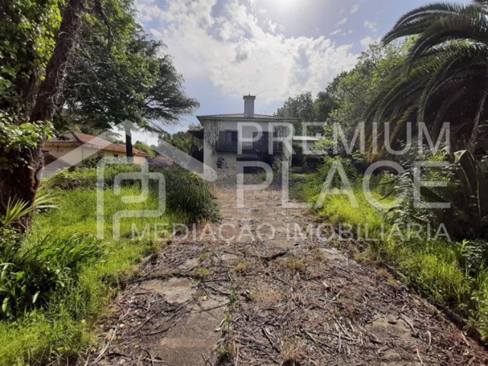 Captura de ecrã 2025-09-02 103522_cleanup