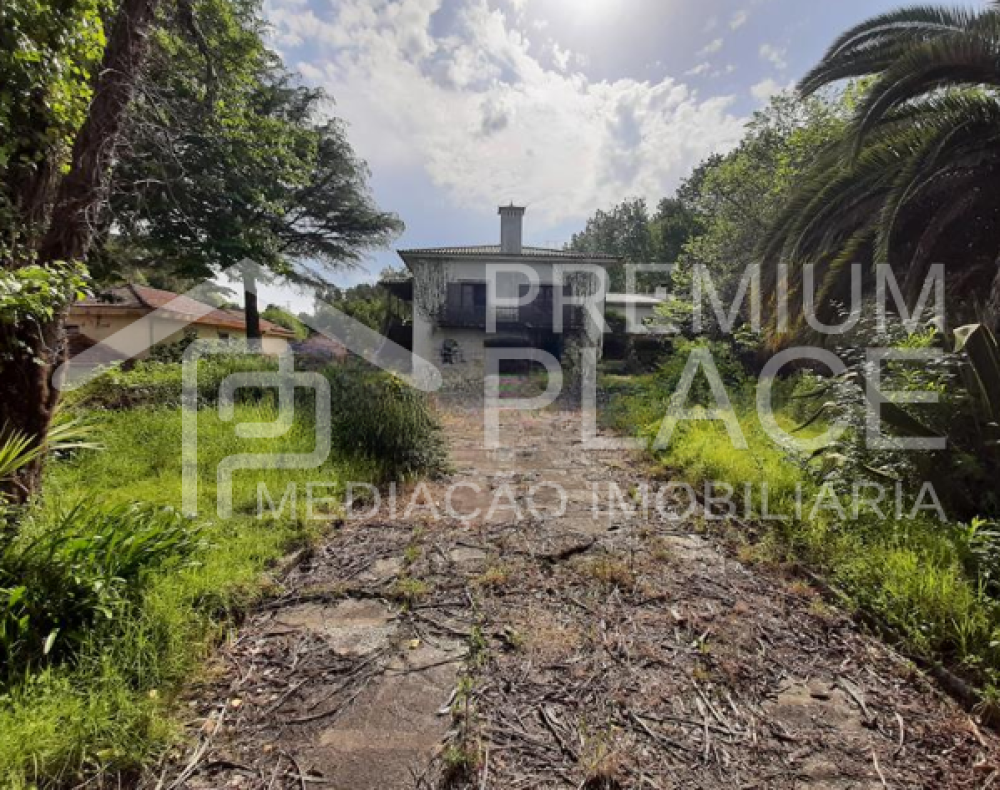 Captura de ecrã 2025-09-02 103522_cleanup