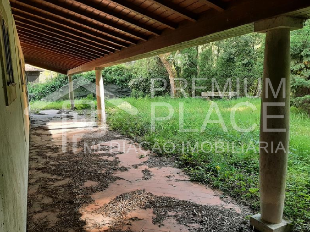 Captura de ecrã 2025-09-02 103644_cleanup