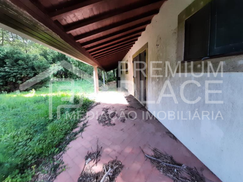 Captura de ecrã 2025-09-02 103654_cleanup