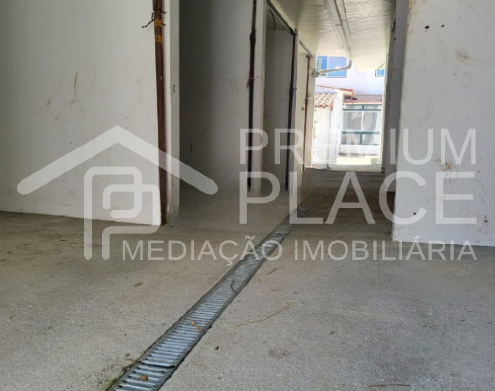 Captura de ecrã 2025-09-02 171027