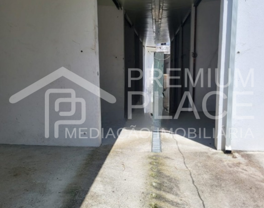 Captura de ecrã 2025-09-02 171253