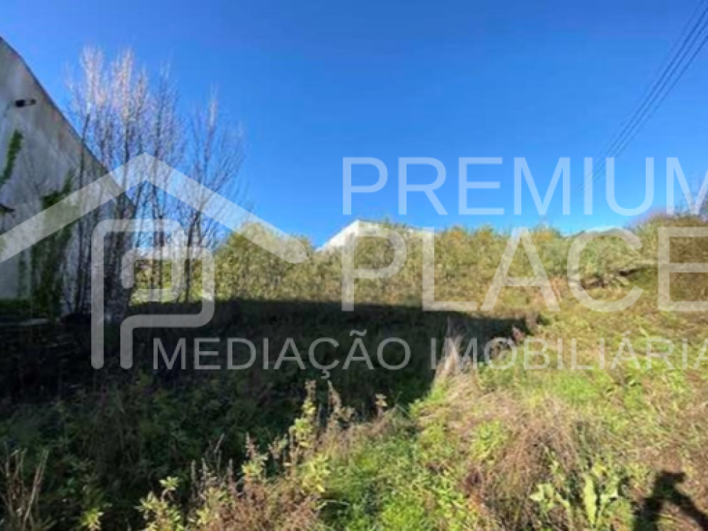 Captura de ecrã 2025-10-06 155332_cleanup