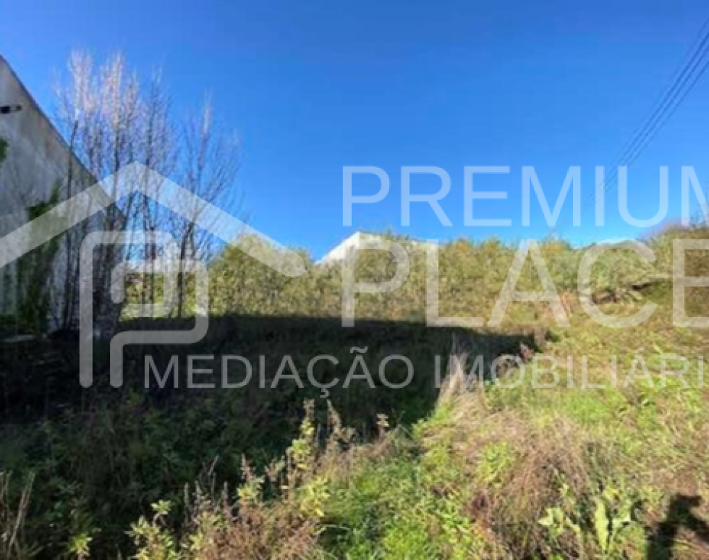 Captura de ecrã 2025-10-06 155332_cleanup