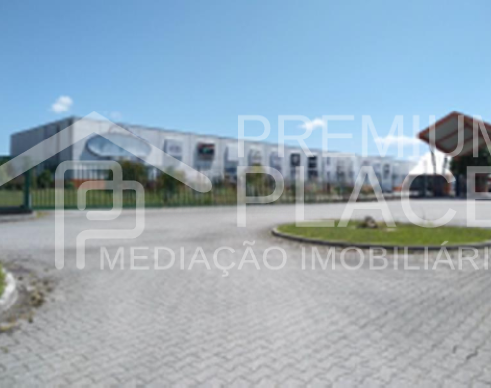 Captura de ecrã 2025-10-06 175843_cleanup