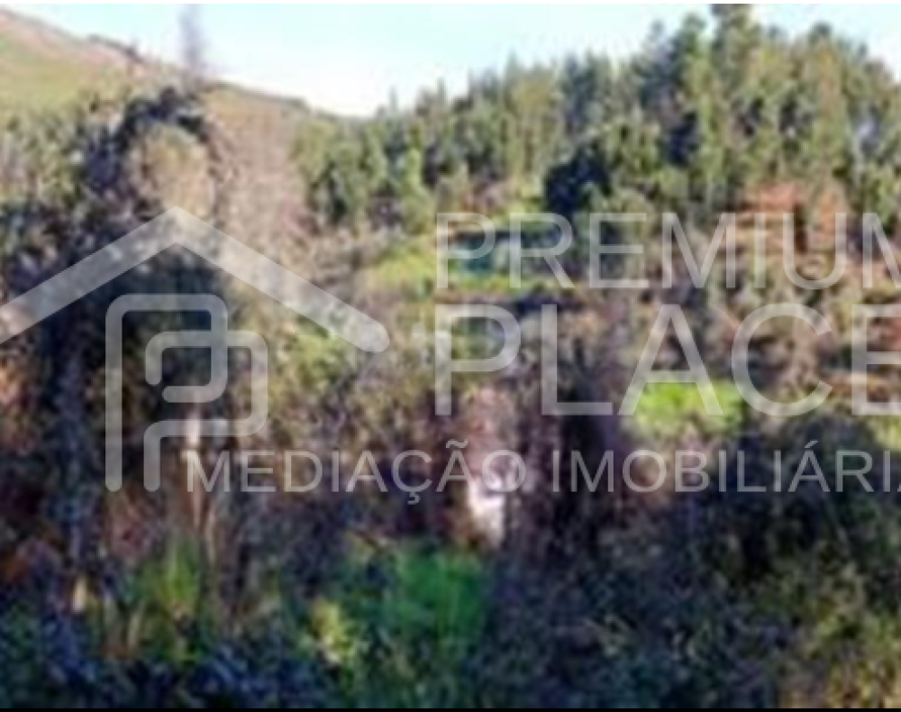 Captura de ecrã 2025-10-06 182147_cleanup