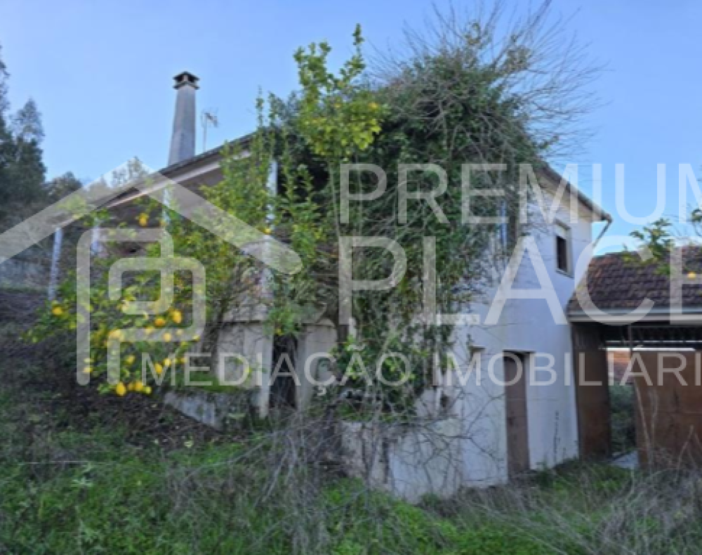 Captura de ecrã 2025-10-06 182232_cleanup