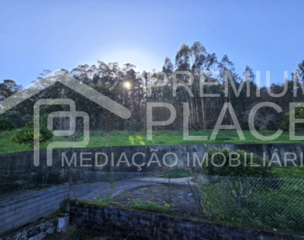 Captura de ecrã 2025-10-06 182242_cleanup