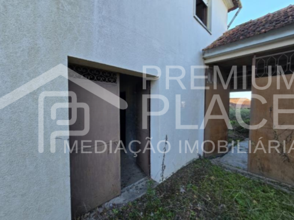 Captura de ecrã 2025-10-06 182343_cleanup (1)