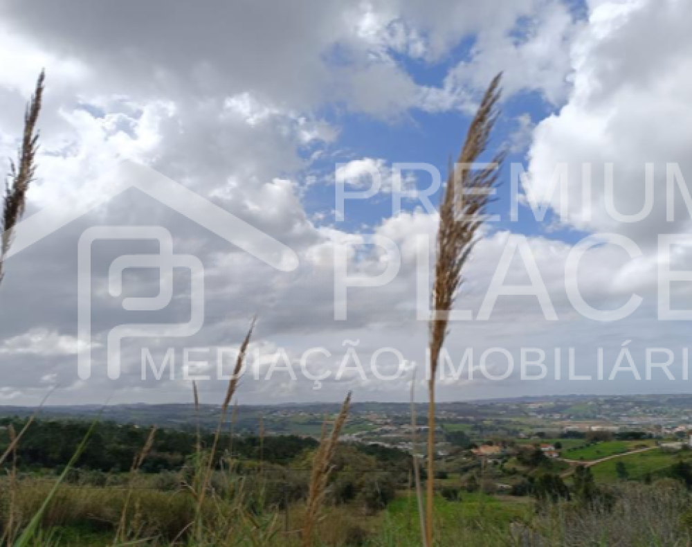 Captura de ecrã 2025-10-06 183445_cleanup