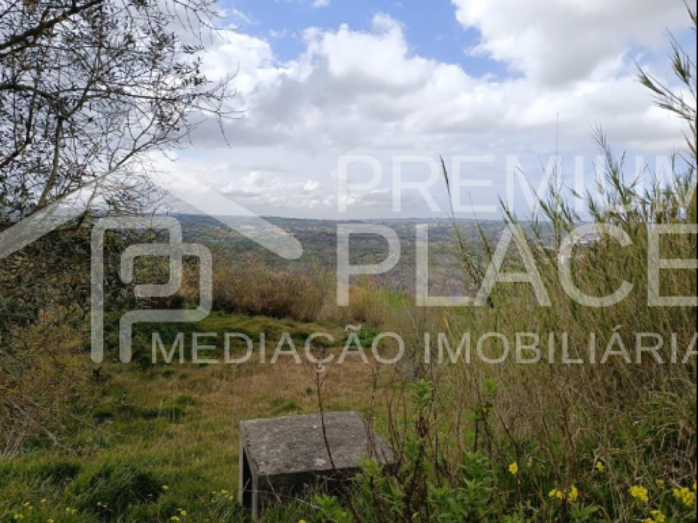 Captura de ecrã 2025-10-06 183455_cleanup