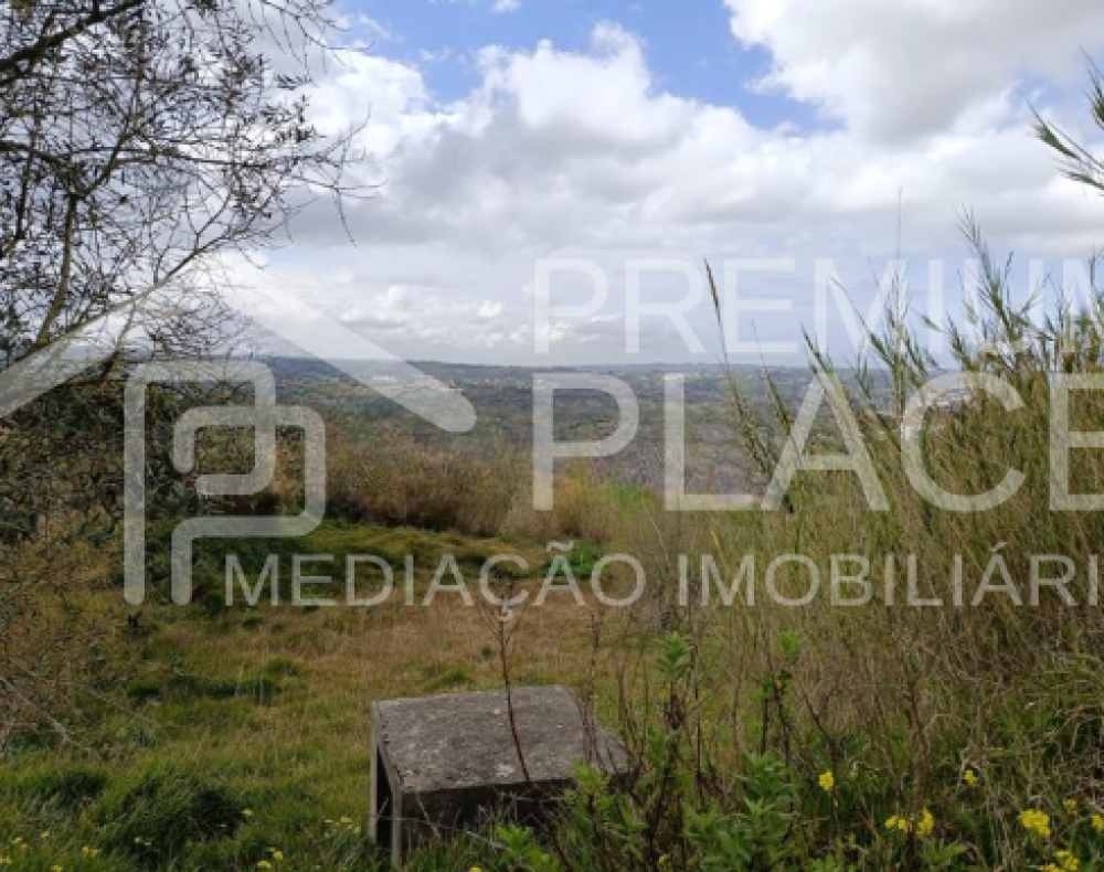 Captura de ecrã 2025-10-06 183455_cleanup