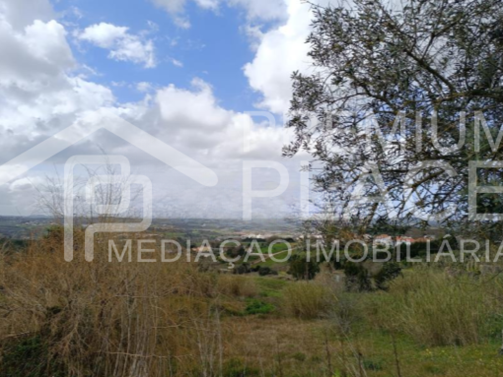 Captura de ecrã 2025-10-06 183507_cleanup