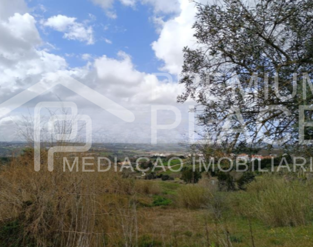 Captura de ecrã 2025-10-06 183507_cleanup