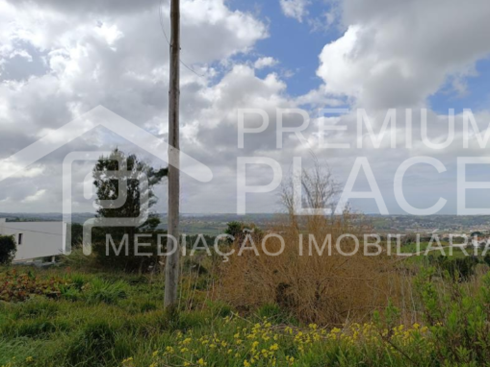 Captura de ecrã 2025-10-06 183625_cleanup