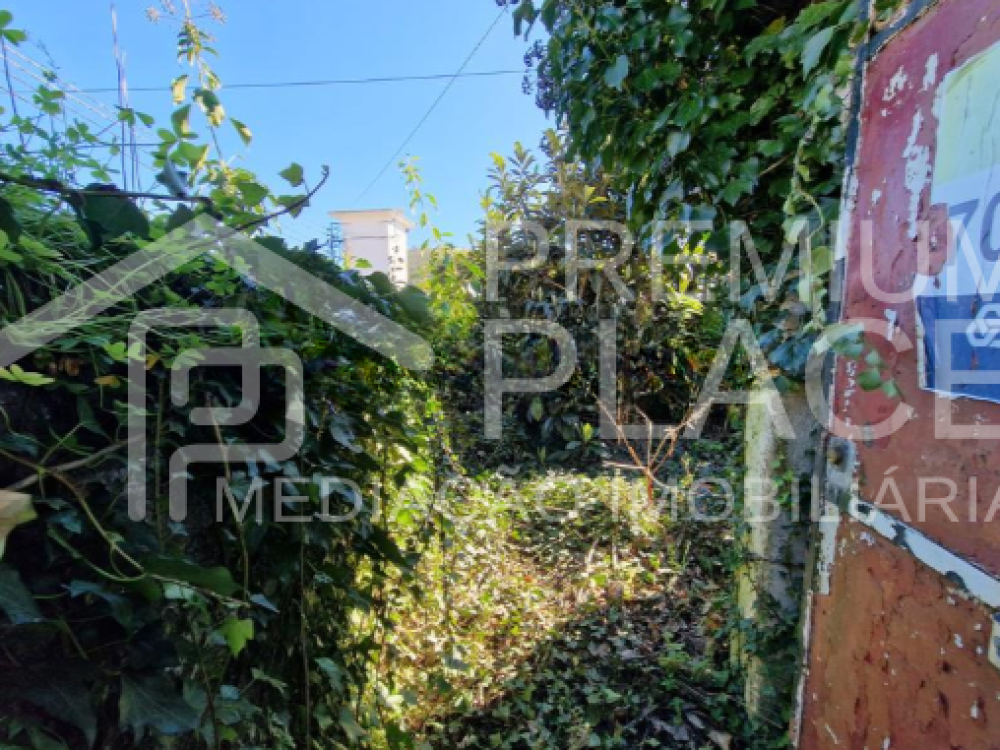 Captura de ecrã 2025-10-06 184852_cleanup