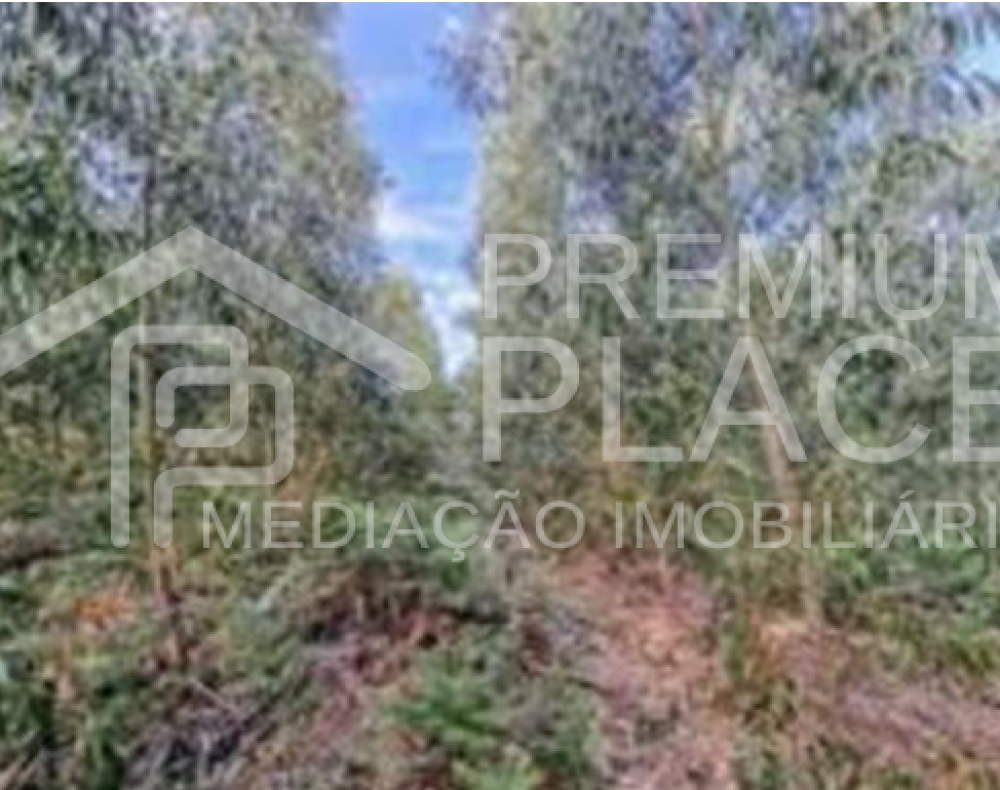 Captura de ecrã 2025-10-07 120611_cleanup