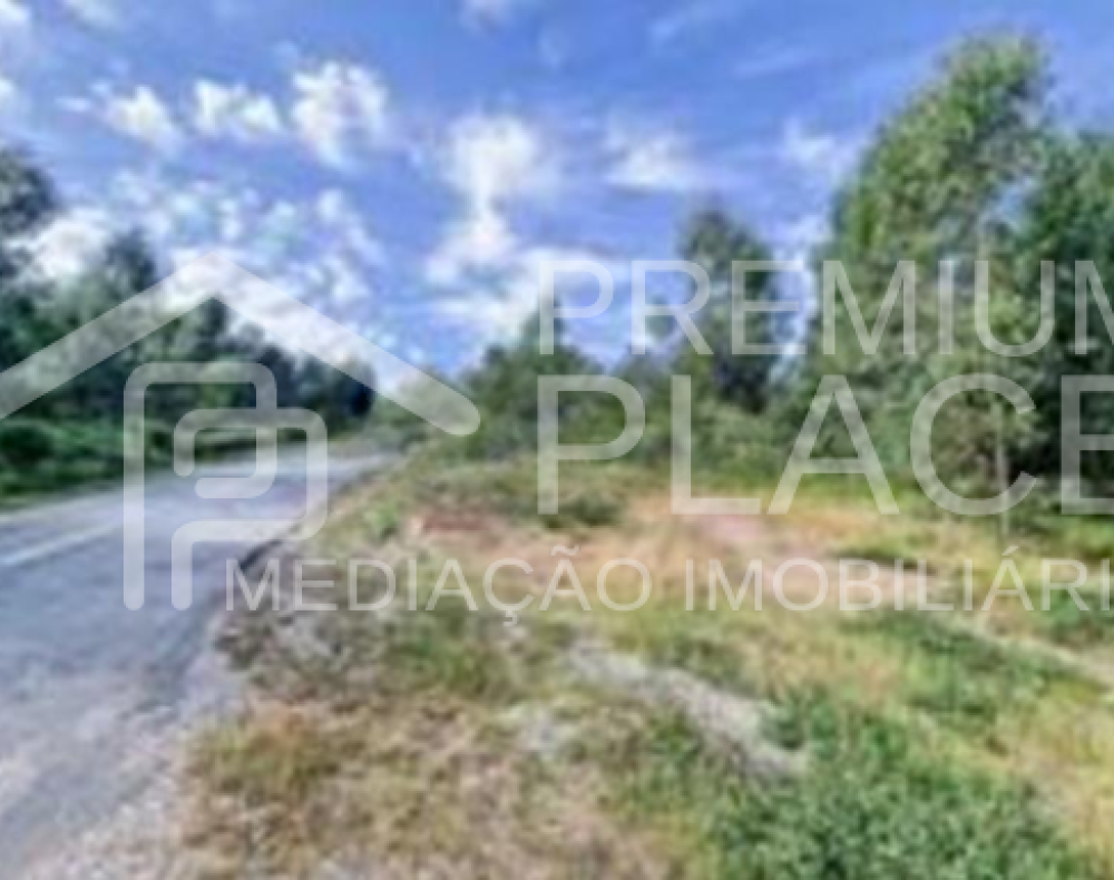 Captura de ecrã 2025-10-07 120619_cleanup