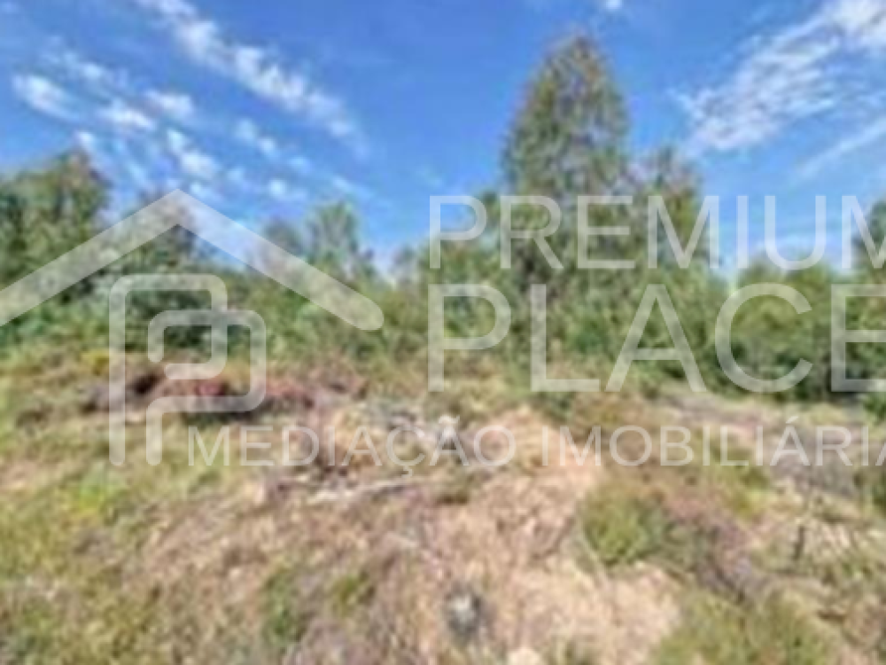 Captura de ecrã 2025-10-07 120629_cleanup