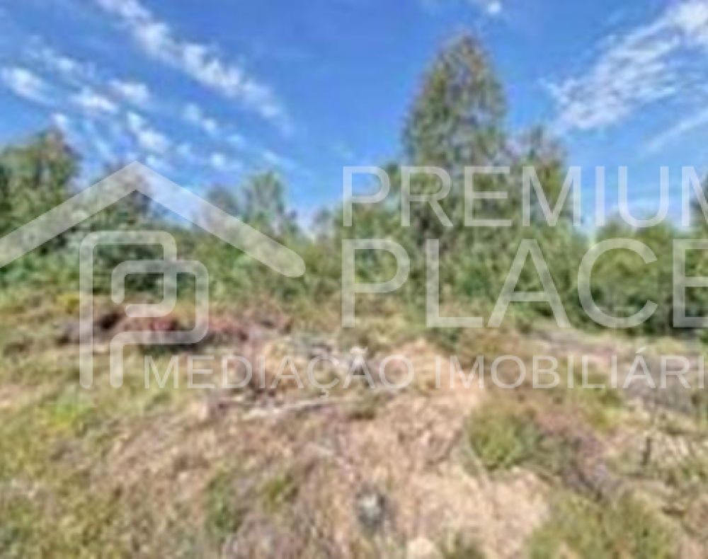 Captura de ecrã 2025-10-07 120629_cleanup