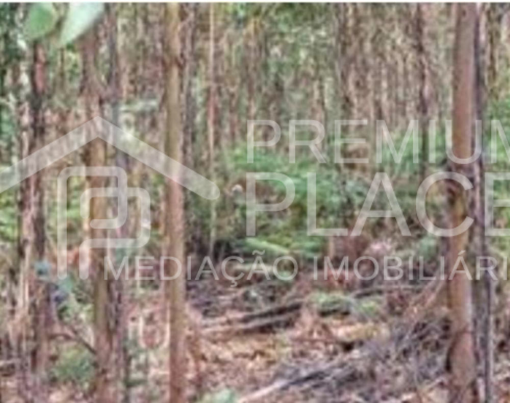 Captura de ecrã 2025-10-07 120716_cleanup