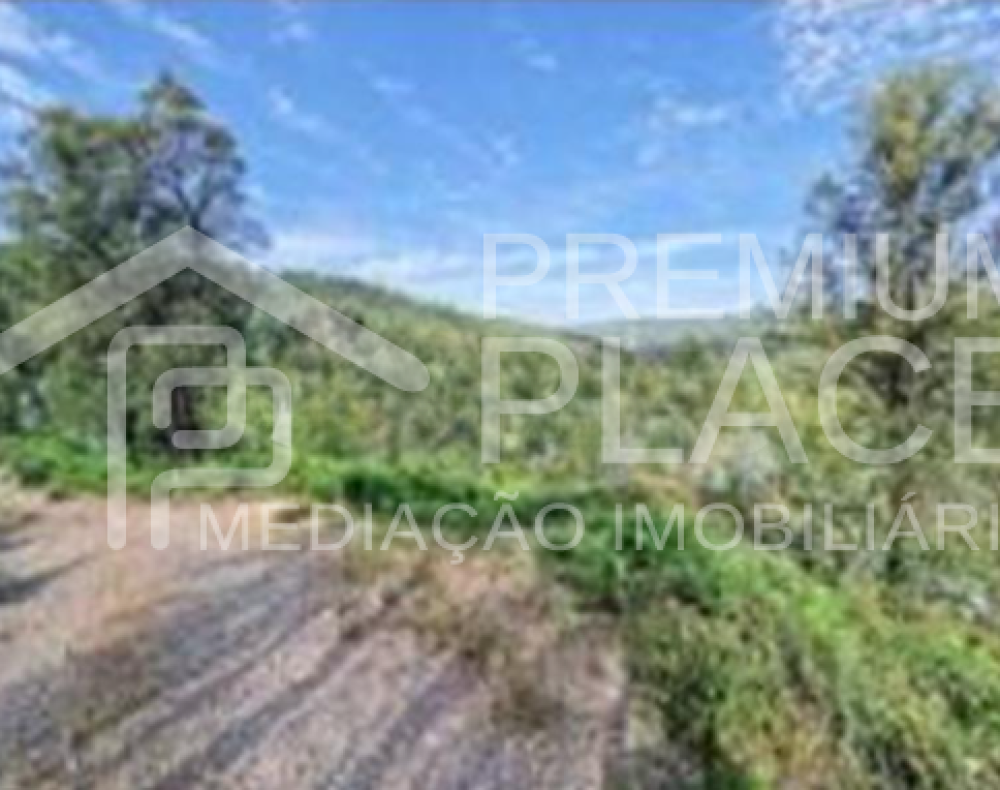 Captura de ecrã 2025-10-07 120821_cleanup