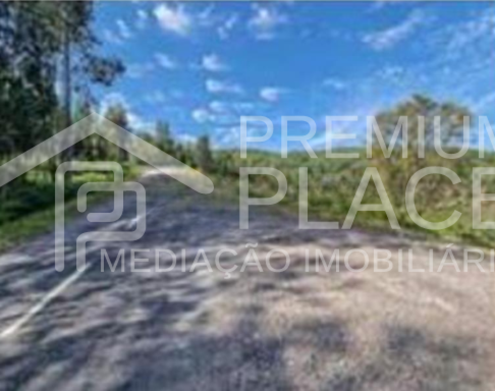 Captura de ecrã 2025-10-07 120828_cleanup