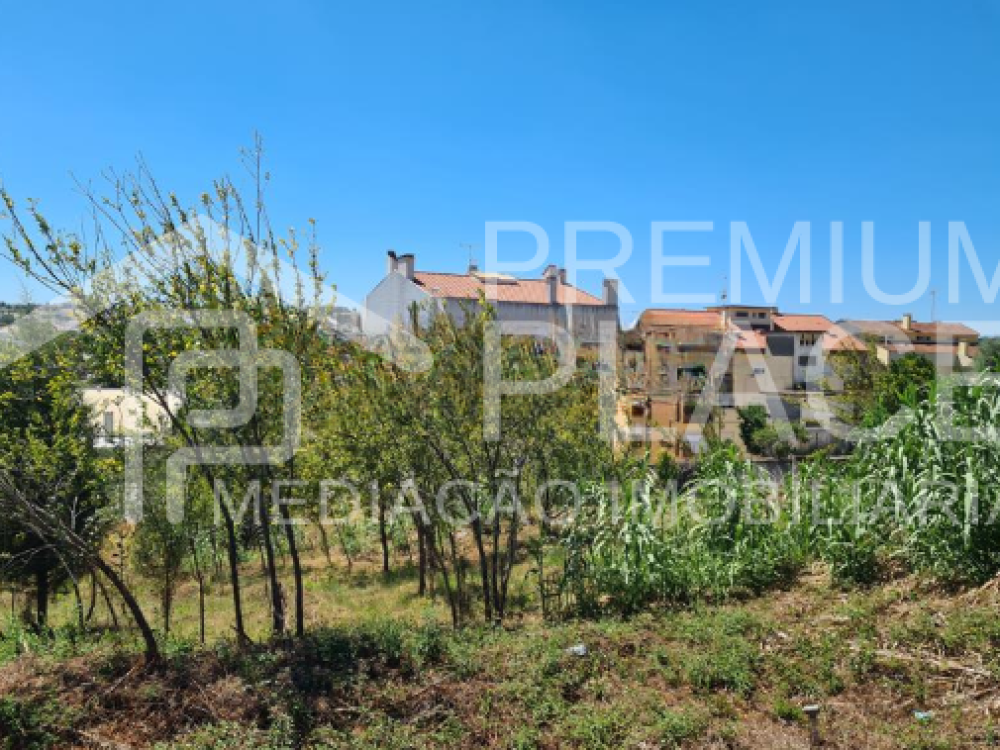 Captura de ecrã 2025-10-07 121537_cleanup