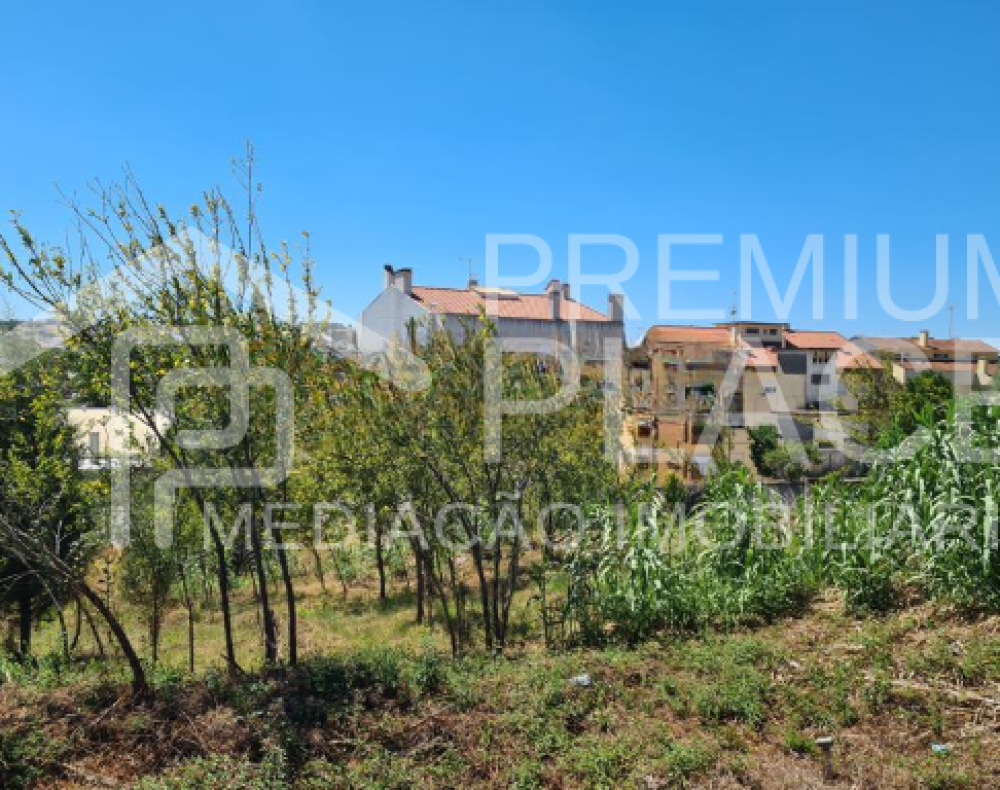 Captura de ecrã 2025-10-07 121537_cleanup