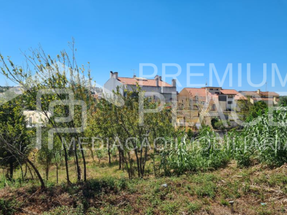 Captura de ecrã 2025-10-07 121653_cleanup