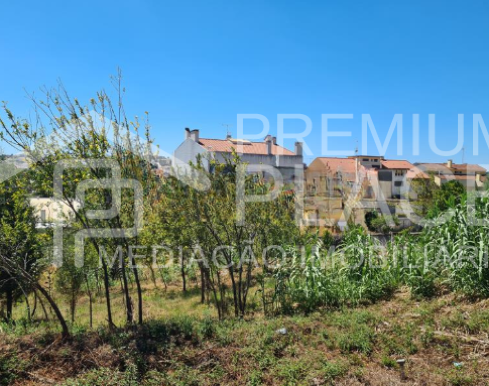 Captura de ecrã 2025-10-07 121653_cleanup