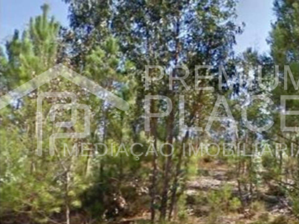 Captura de ecrã 2025-10-07 122031_cleanup