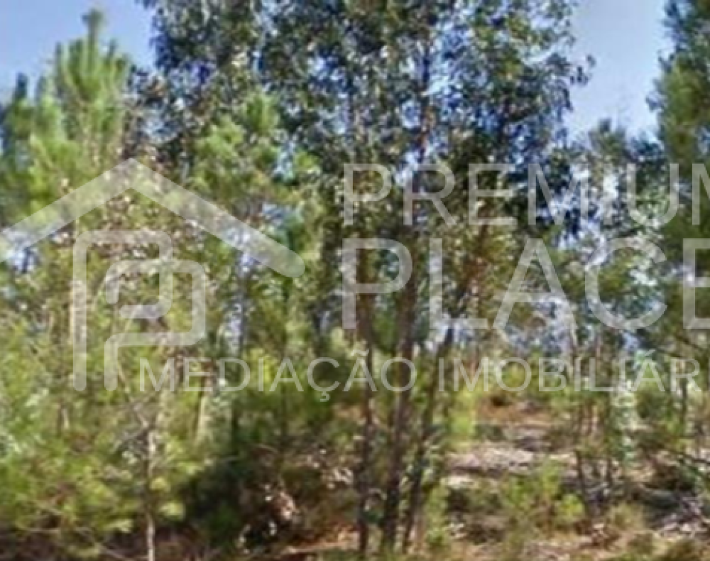 Captura de ecrã 2025-10-07 122031_cleanup