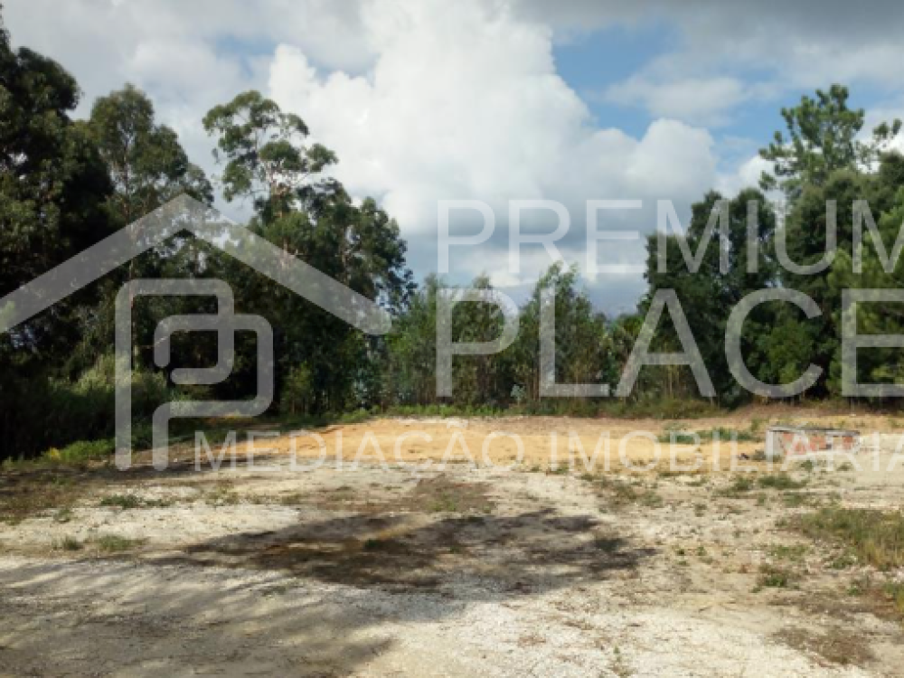 Captura de ecrã 2025-10-07 122616_cleanup