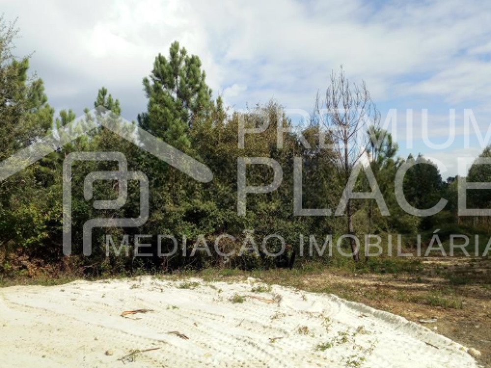 Captura de ecrã 2025-10-07 122636_cleanup