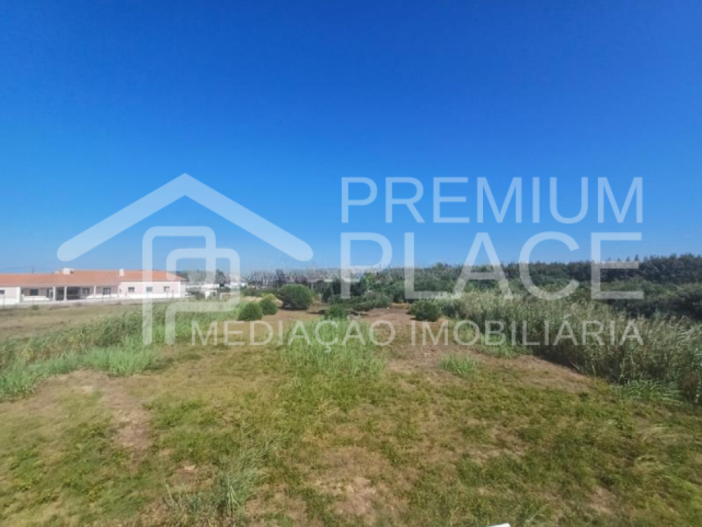 Captura de ecrã 2025-10-09 112221_cleanup (1)