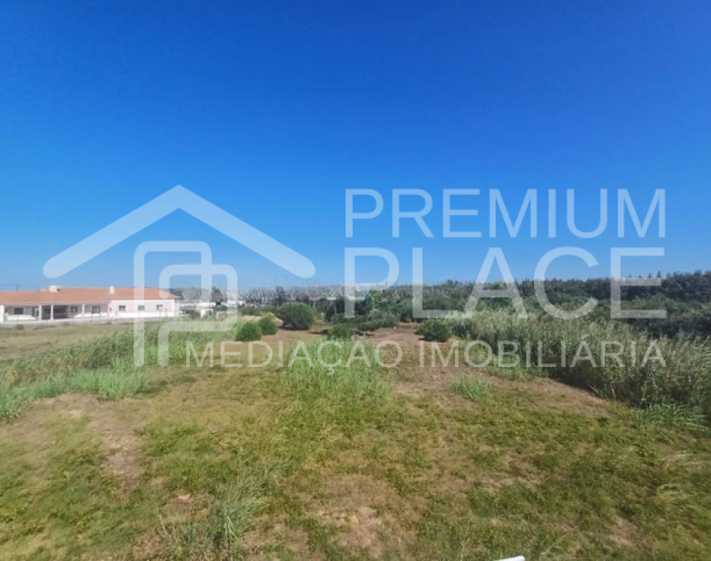 Captura de ecrã 2025-10-09 112221_cleanup (1)