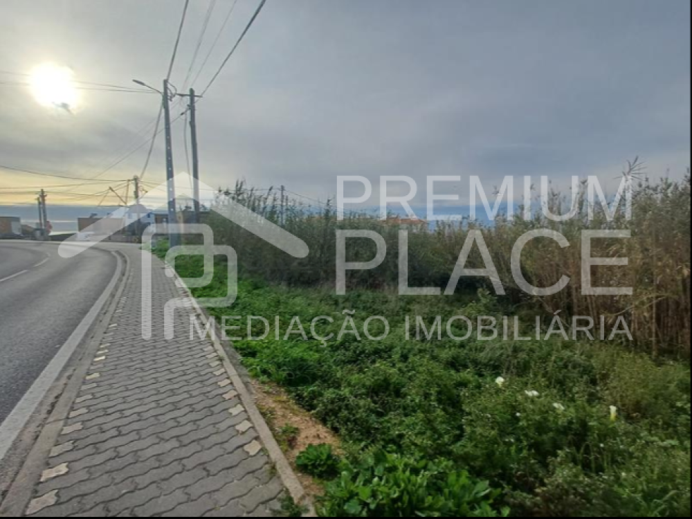 Captura de ecrã 2025-10-09 121846_cleanup